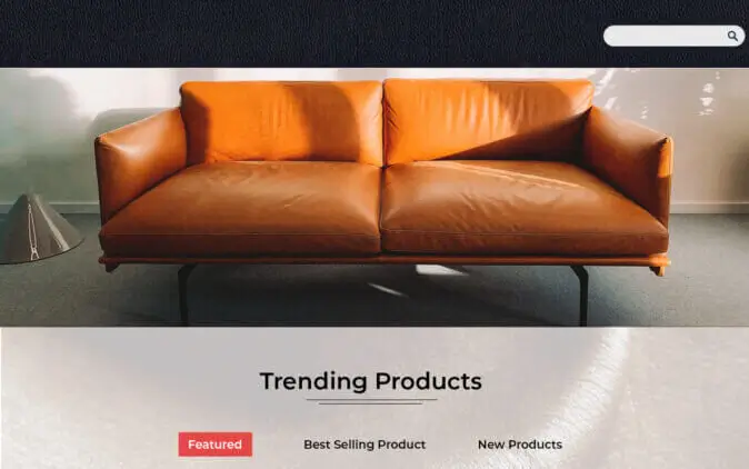 Leather Material Website Design by Elohim Software Solutions