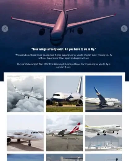 Flight Business Site Design by Elohim Software Solutions
